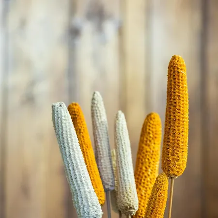 Zelaikoa Goikoa - Baskeyrentals Apartment *