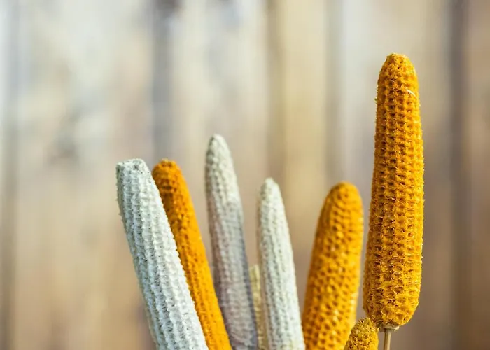 Zelaikoa Goikoa - Baskeyrentals Apartment *