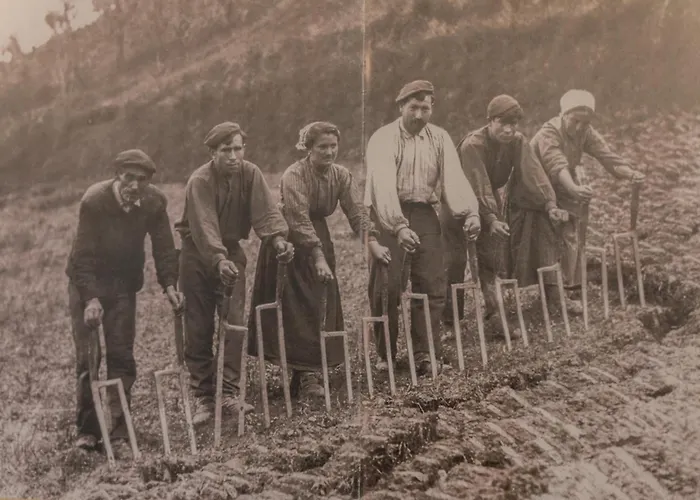 Apartment Zelaikoa Goikoa - Baskeyrentals *